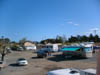 DSCF3518