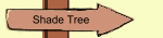 Shade Tree