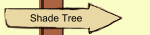 Shade Tree